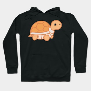 Turtle (Orange) Hoodie